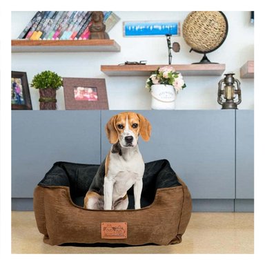 PACK4 BASE MARRON PARA PERRO TALLA M CON CENTRO NEGRO - 2