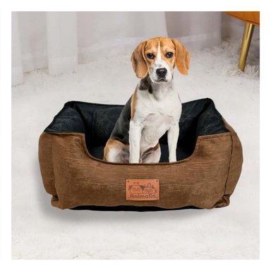 PACK4 BASE MARRON PARA PERRO TALLA M CON CENTRO NEGRO - 3