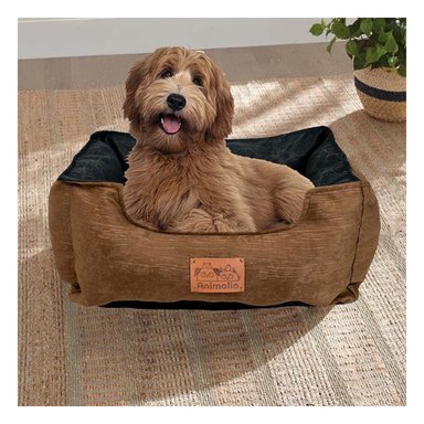 PACK4 BASE MARRON PARA PERRO TALLA M CON CENTRO NEGRO - 5