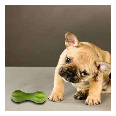 ELEMENTO MANCUERNA DE MINI RAYAS VERDE MENTA PARA MASCOTA ACTIVA Y+PAPEL REGALO - 2