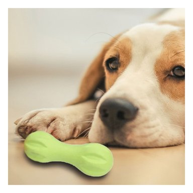 ELEMENTO MANCUERNA DE MINI RAYAS VERDE MENTA PARA MASCOTA ACTIVA Y+PAPEL REGALO - 5