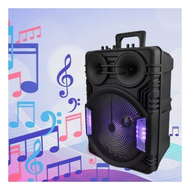 AUDIO PARA PARLANTE 12 PULGADAS NEGRO CON MICROFONO PARA EVENTOS Y REUNIONES RECTANGULAR - 1