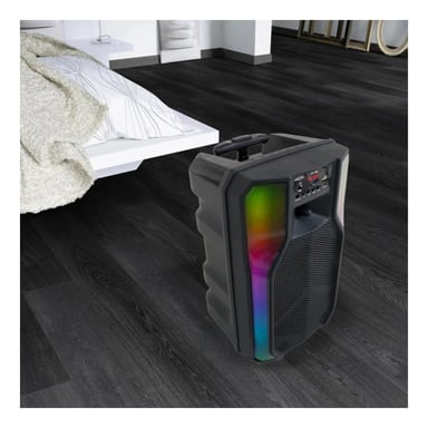 PACK2 BOCINA PARA EL HOGAR CON LUCES LED Y MICROFONO DE 8 PULGADAS CON RUEDAS - 3