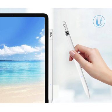 LÁPIZ APPLE PENCIL USB-C - 4