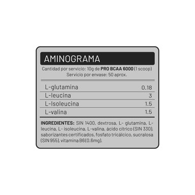 SUPLEMENTO UNIVERSE NUTRITION PRO BCAA 6000 500 GR - 2