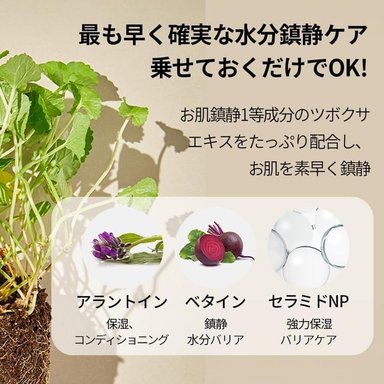 MIXSOON ALMOHADILLAS TONICAS CENTELLA ASIATICA 120 HOJAS - 4