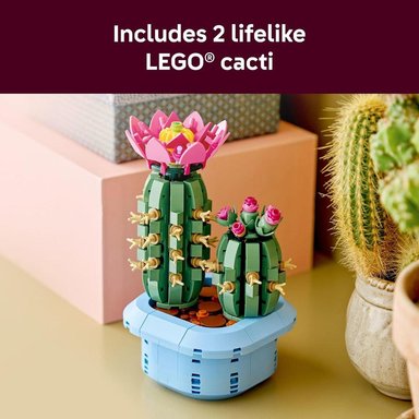 LEGO BOTANICALS CACTUS EN FLOR 11509 - 3