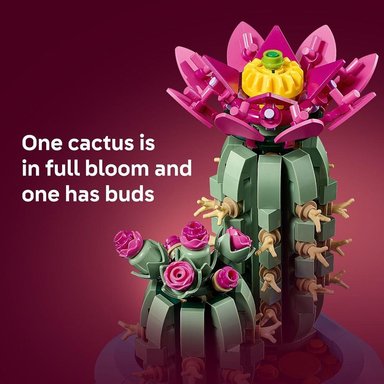 LEGO BOTANICALS CACTUS EN FLOR 11509 - 4