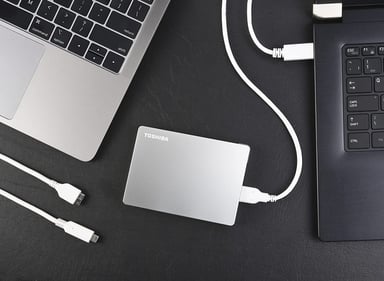 DISCO DURO EXTERNO TOSHIBA CANVIO FLEX 2 TB SILVER HDTX120XSCAA - 6