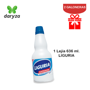 DETERGENTE LÍQUIDO DARYZA CONCENTRADO PACK 2 GALONERAS - 2