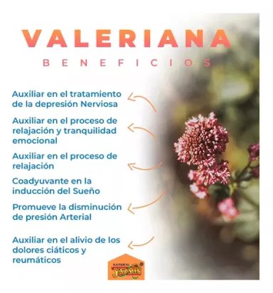 SUPLEMENTO MASON NATURAL VALERIANA 500MG LIBERA TU ESTRES 60 CÁPSULAS - 3
