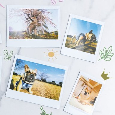 CAMARA DIGITAL FUJIFILM INSTAX PAL - MILKY WHITE - 9