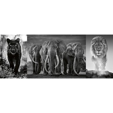ROMPECABEZAS 1000 PZ PANTERA, ELEFANTE Y LEÓN BLANCO Y NEGRO - 2
