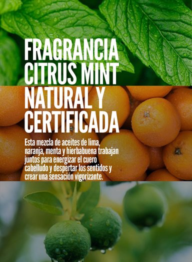 SHAMPOO AMERICAN CREW DETOX 250ML X IFICANTE Y EXFOLIANTE - 6