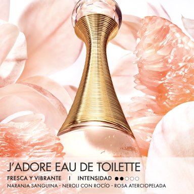 DIOR J’ADORE EAU DE TOILETTE 100ML - 3