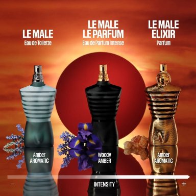 PERFUME JEAN PAUL GAULTIER LE MALE ELIXIR PARFUM HOMBRE 75 ML - 6
