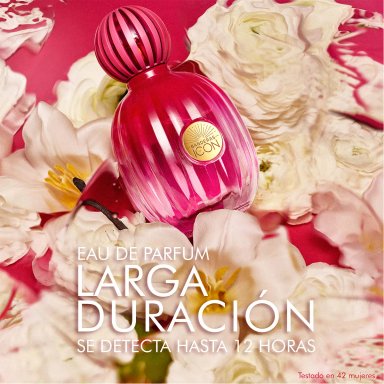 PERFUME BANDERAS THE ICON FEM MUJER EDP 50 ML + BODY LOTION 75 ML - 3