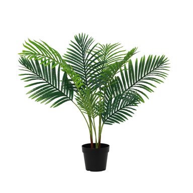PLANTA PALMERA HELECHO RIPLEY HOME 100CM - 1