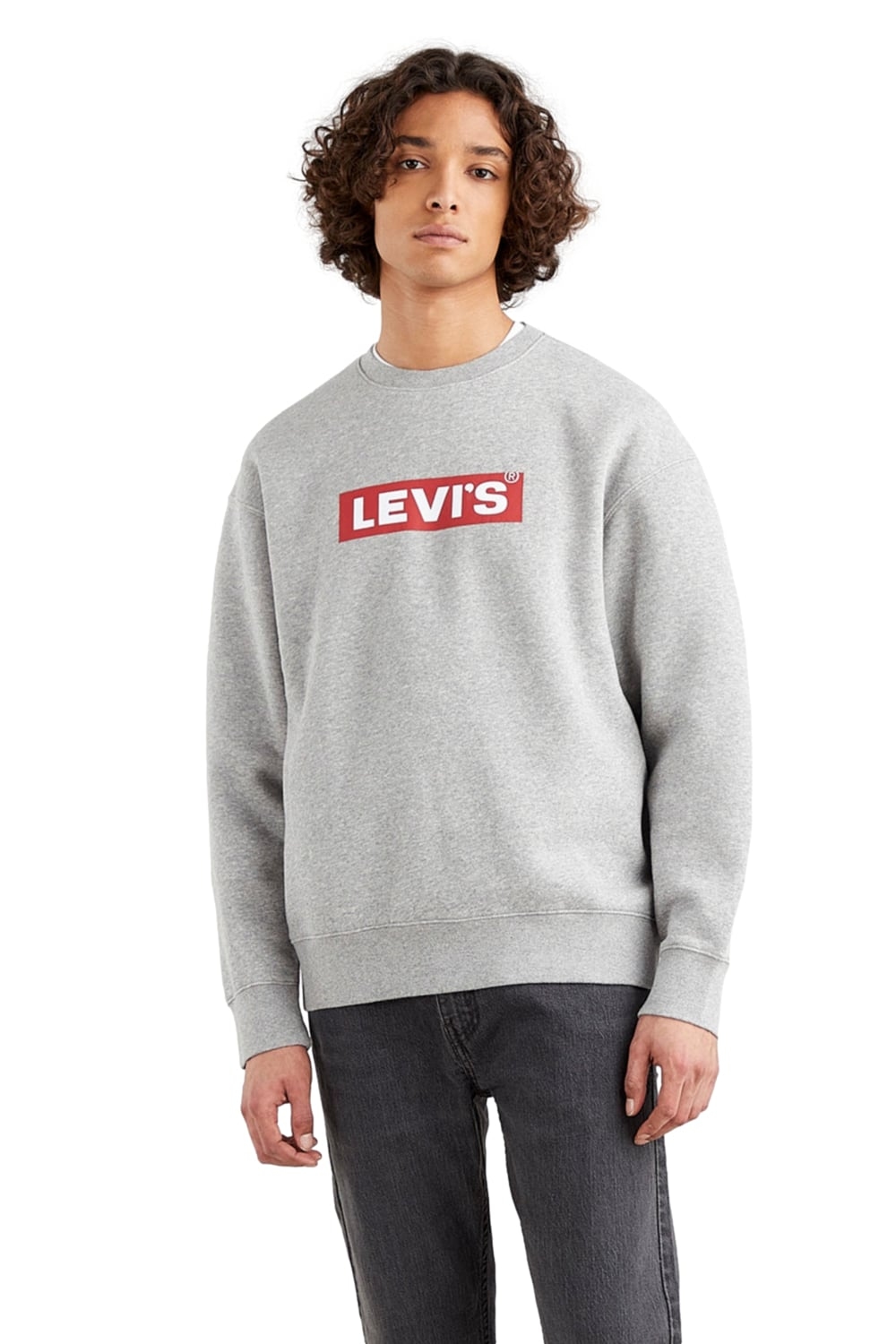 POLERÓN HOMBRE RELAXED GRAPHIC GRIS LEVIS 39134-0030