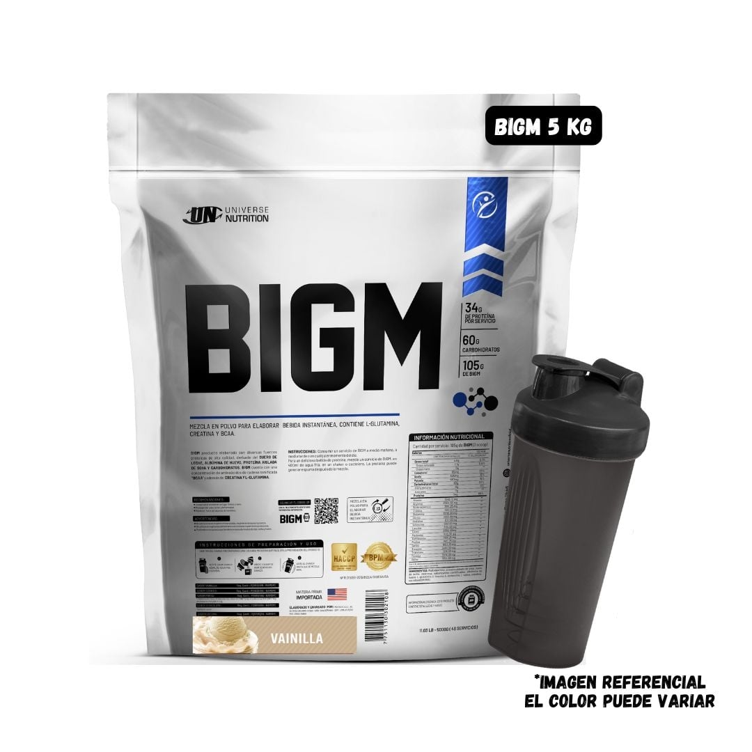 BIGM 5 KG (VAINILLA) + SHAKER